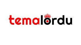 DÜŞÜNÜLEREK TASARLANAN BİR LOGO ÇİZİYORUM