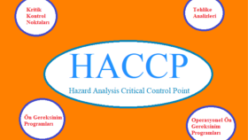 gıda işletmeleri için Haccp dosyası hazırlarım