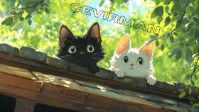 manga/manhwa (2 bölüm) çeviri ve düzenlemesi yapabilirim