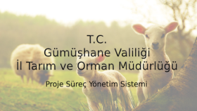 TC Gümüşhane Tarım ve Orman Müdürüğü Proje Süreçleri