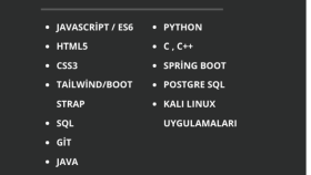 Full-Stack Developer