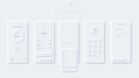 Papara Concept Tasarımı