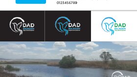 Balıkdamı Projesi İçin Özgün ve Yaratıcı Logo Tasarımı