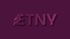 ETNY - Etnik Gıda Tedarik Web Sitesi Logo Tasarımı B2B