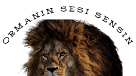 Canva da düzenlemeler yapıyorum