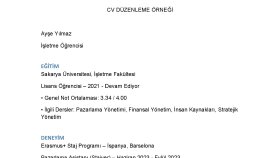 CV Düzenleme