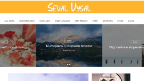 Seval Uysal Kişisel Blog Sayfası