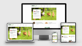 MTN AGRO - Kurumsal Web Site Tasarımı