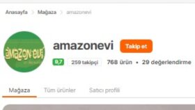 pazaryeri mağaza/kampanya oluşturma ve ürün girişi