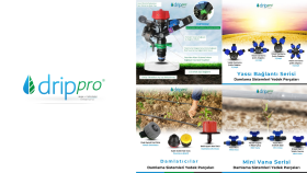 Drippro Instagram Yönetimi