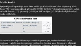 SPSS ile Veri Analizi