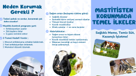Çiftlik için bilgilendirme broşür
