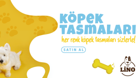 Lino Pet - Banner Çalışmaları