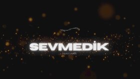 sizin için şarkı sözü yazabilirim
