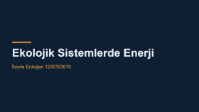 kurumsal odaklı, etkileyici sunum tasarımı yaparım