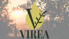 VIREA - Logo Tasarımı
