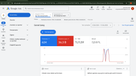 Google Ads Reklam Yönetimi