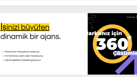 profesyonel olarak reklamlarınızı yönetip raporlarım