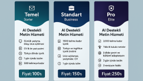 profesyonel İngilizce-Türkçe çeviri yaparım