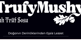 bir markayı logosundan en detayına tasarlayabilirim