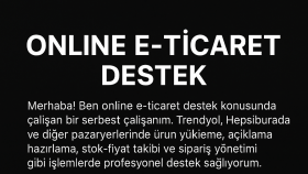 işlerinizi hızlandırmanızı sağlayarak asistanlık yapıyorum