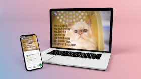 tamamen kişiselleştirilmiş web sayfanızı hazırlarım