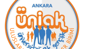 kişiye özel olarak logolar tasarlıyorum