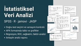 istatistiksel veri analizi yaparım
