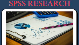  SPSS veri girişi( anket), SPSS yorumlama yapabilirim