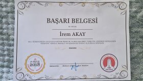yazmak veya çeviri yapmak için buradayım