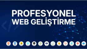 profesyonel web sitesi yaparım