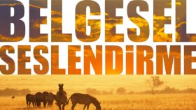 Seslendirme Çalışmaları