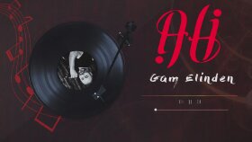 sizin müziklerinize albüm çalışması yapabilirim