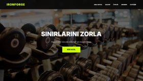 modern ve mobil uyumlu web siteleri tasarlarım