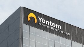 Logo Çalışmalarım