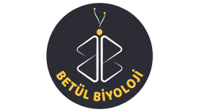 uygun fiyata istediğiniz gibi vektörel logo tasarlarım