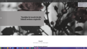 sizin için uygun tema ile web sitesi tasarlarım