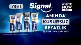 Signal 3in1 - Motion
