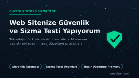 web sitenize güvenlik ve sızma testi yapıyorum