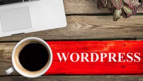 i̇steğiniz doğrultusunda wordpress ile web sitesi yapabilirim