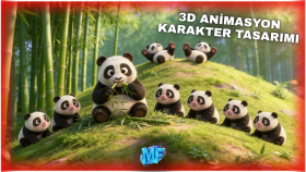 projeniz için profesyonel 3d animasyonlar hazırlarım