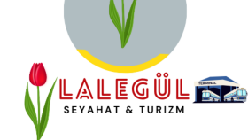logo tasarımı uzmanlığı yaparım