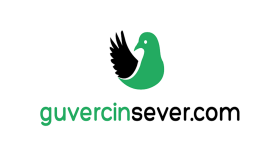 Guvercinsever.com - SEO Çalışması