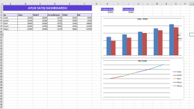 Excel ile düzenli ve profesyonel çalışmalar hazırlarım