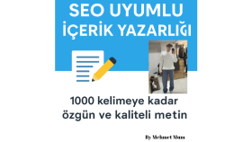 seo uyumlu özgün ve kaliteli içerik yazıyorum