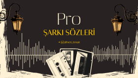 tarzına özel profesyonel şarkı sözleri yazıyorum