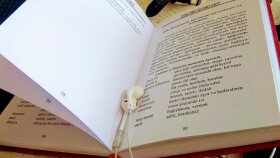 ses kayıtlarını metne çevirebilirim