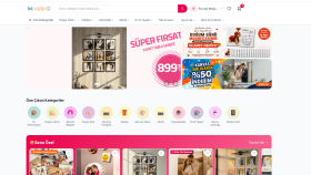 bicazip.com