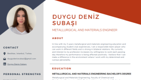 profesyonelce çeşitli meslekler için CV hazırlıyorum