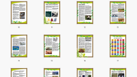 Broşür ve Katalog Çalışmaları